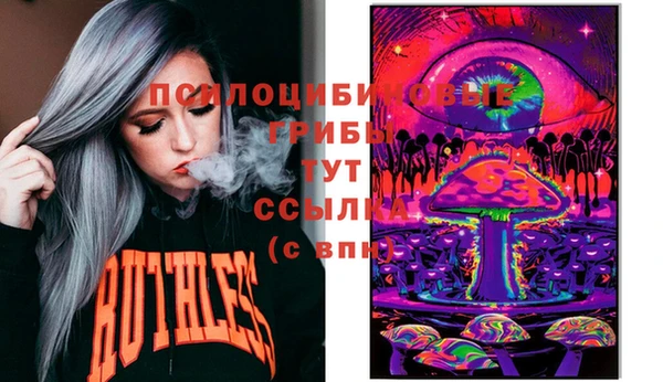 МДПВ Алзамай