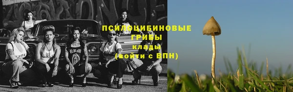 МДПВ Алзамай